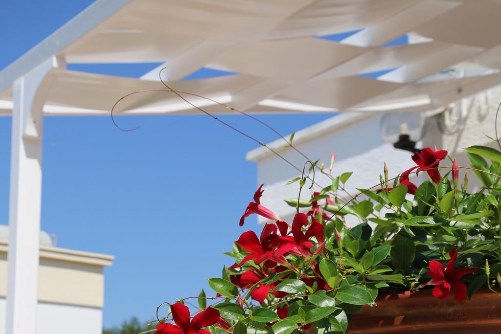 Willa Mare Relax Lido Marini Zewnętrze zdjęcie